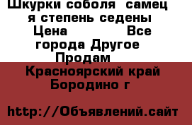 Шкурки соболя (самец) 1-я степень седены › Цена ­ 12 000 - Все города Другое » Продам   . Красноярский край,Бородино г.